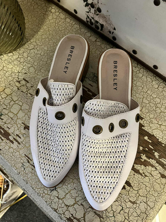 Bresley Speed Shoes - Sz 42